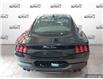 2025 Ford Mustang GT (Stk: 250565) in Hamilton - Image 4 of 18