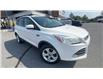 2015 Ford Escape SE (Stk: 25242) in Sudbury - Image 2 of 24