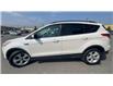 2015 Ford Escape SE (Stk: 25242) in Sudbury - Image 5 of 24