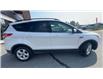 2015 Ford Escape SE (Stk: 25242) in Sudbury - Image 9 of 24