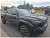 2025 Toyota Tacoma Base (Stk: 2830) in Sarnia - Image 4 of 5