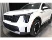 2025 Kia Sorento Plug-In Hybrid EX (Stk: 26452) in Edmonton - Image 8 of 27