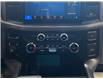 2025 Ford F-150 XLT (Stk: NE79140) in Shellbrook - Image 17 of 23