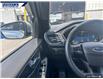2023 Ford Escape ST-Line Elite (Stk: P9956A) in Dartmouth - Image 16 of 24
