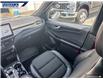 2023 Ford Escape ST-Line Elite (Stk: P9956A) in Dartmouth - Image 24 of 24