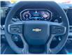 2025 Chevrolet Silverado 1500 High Country (Stk: 25T133) in Port Alberni - Image 17 of 19