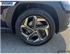 2023 Hyundai Tucson Hybrid Luxury (Stk: P0261L) in Dartmouth - Image 7 of 24