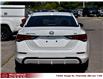 2021 Nissan Sentra SV (Stk: XN6444A) in Thornhill - Image 8 of 24