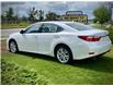 2014 Lexus ES 350 Base (Stk: 251113B) in Calgary - Image 4 of 22