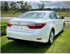 2014 Lexus ES 350 Base (Stk: 251113B) in Calgary - Image 3 of 22