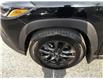2024 Toyota Corolla Cross LE (Stk: 085614) in Ottawa - Image 10 of 24
