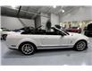 2008 Ford Shelby GT500 Base (Stk: 144554) in Watford - Image 13 of 38