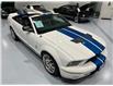 2008 Ford Shelby GT500 Base (Stk: 144554) in Watford - Image 15 of 38