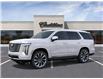 2025 Cadillac Escalade Premium Luxury Platinum (Stk: 25-553) in Pembroke - Image 2 of 6