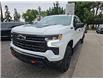 2024 Chevrolet Silverado 1500 LT Trail Boss (Stk: 01166P) in New Hamburg - Image 1 of 20