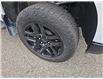 2024 Chevrolet Silverado 1500 LT Trail Boss (Stk: 01166P) in New Hamburg - Image 11 of 20