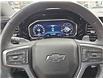 2024 Chevrolet Silverado 1500 LT Trail Boss (Stk: 01166P) in New Hamburg - Image 18 of 20