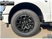 2025 Ford F-150 XLT (Stk: 5F174925) in Brantford - Image 6 of 22