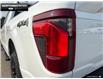 2025 Ford F-150 XLT (Stk: 5F174925) in Brantford - Image 9 of 22
