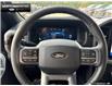 2025 Ford F-150 XLT (Stk: 5F174925) in Brantford - Image 11 of 22