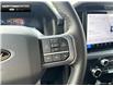 2025 Ford F-150 XLT (Stk: 5F174925) in Brantford - Image 13 of 22