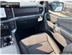 2025 Ford F-150 XLT (Stk: 5F174925) in Brantford - Image 22 of 22