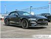2021 Ford Mustang GT Premium (Stk: U6225) in Grimsby - Image 13 of 32