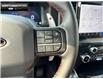 2025 Ford F-150 Raptor (Stk: 5F174972) in Brantford - Image 15 of 24