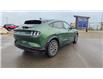 2024 Ford Mustang Mach-E Premium (Stk: I49268) in Hague - Image 4 of 15