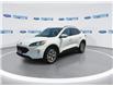 2021 Ford Escape Titanium Hybrid (Stk: MUA74931T) in Wallaceburg - Image 4 of 25