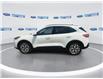 2021 Ford Escape Titanium Hybrid (Stk: MUA74931T) in Wallaceburg - Image 5 of 25