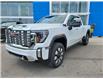 2025 GMC Sierra 2500HD Denali (Stk: F359272) in Newmarket - Image 1 of 19