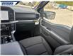 2025 Ford F-150 XLT (Stk: 27541) in Dartmouth - Image 24 of 24