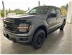 2025 Ford F-150 XLT (Stk: 25091) in Port Alberni - Image 8 of 25