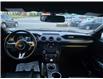 2018 Ford Mustang EcoBoost (Stk: 2508439) in Waterloo - Image 13 of 20