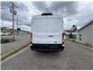 2025 Ford Transit-250 Cargo Base (Stk: 5Z221) in Timmins - Image 8 of 16