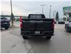 2023 Chevrolet Silverado 1500 Custom Trail Boss (Stk: 03646P) in Owen Sound - Image 4 of 17