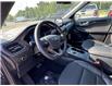 2025 Ford Escape ST-Line (Stk: ES38438) in Windsor - Image 20 of 26