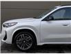 2025 BMW X1 xDrive28i (Stk: B10133) in Windsor - Image 3 of 28
