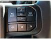 2025 Ford F-150 STX (Stk: TS645) in Kamloops - Image 20 of 30