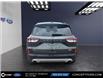 2020 Ford Escape SEL (Stk: N51649A) in GEORGETOWN - Image 13 of 13