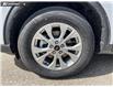 2025 Ford Escape Active (Stk: 25S1875) in Olds - Image 6 of 25