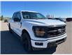 2025 Ford F-150 XLT (Stk: 25T2587) in Pincher Creek - Image 3 of 31