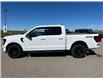 2025 Ford F-150 XLT (Stk: 25T2587) in Pincher Creek - Image 8 of 31