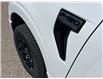 2025 Ford F-150 XLT (Stk: 25T2587) in Pincher Creek - Image 14 of 31
