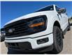 2025 Ford F-150 XLT (Stk: 25T2587) in Pincher Creek - Image 15 of 31