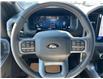 2025 Ford F-150 XLT (Stk: 25T2587) in Pincher Creek - Image 20 of 31