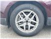 2023 Ford Edge SEL (Stk: PBA28677) in Wallaceburg - Image 10 of 25