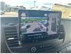 2025 Ford Transit-250 Cargo Base (Stk: 2506300) in Ottawa - Image 17 of 17