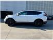2020 Honda CR-V Black Edition (Stk: P26087A) in Toronto - Image 3 of 26